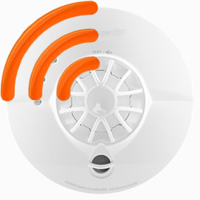 FireAngel Pro Connected Smart Carbon Monoxide Alarm, Battery Powered with  Wireless Interlink and 10 Year Life, FP1820W2-R : : DIY & Tools